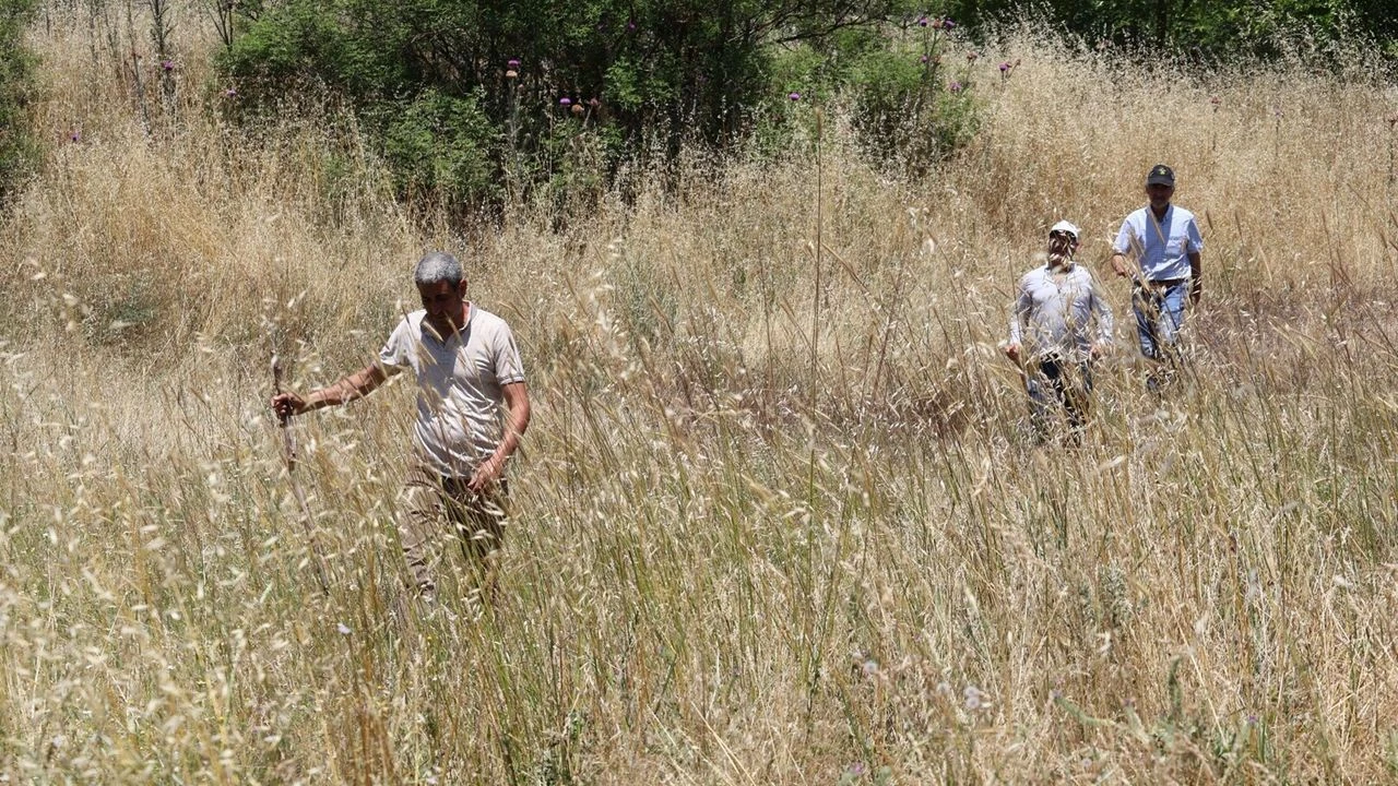 Muğla'da kayıp olarak aranan kadın ölü bulundu