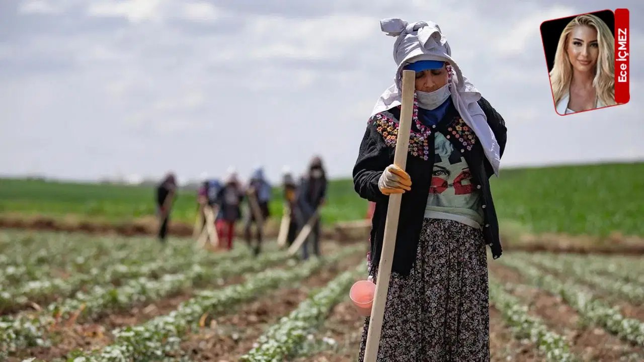 TÜİK büyüme açıkladı, tarım geriledi: 2025’in tarım bilançosu