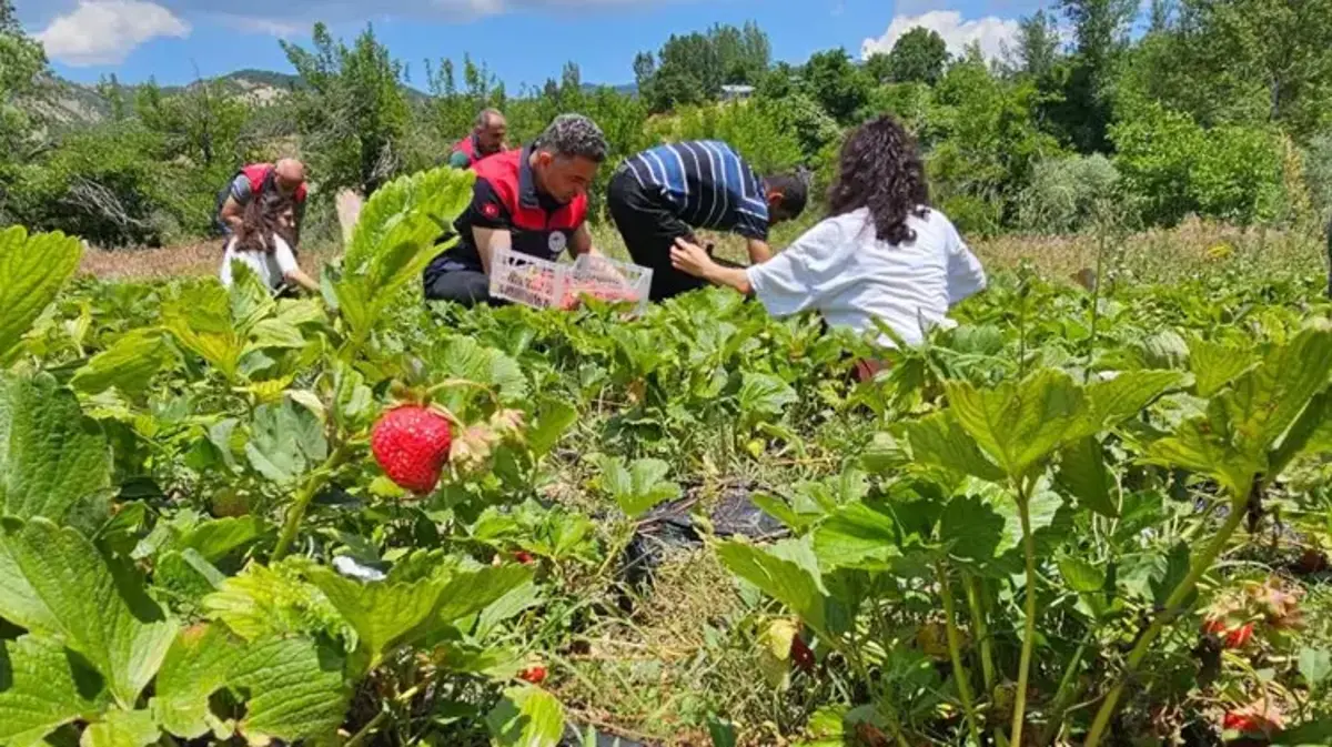 Tunceli'de kadın çiftçiler başardı! Bu proje tüm bölgeye yeni gelir kapısı oldu