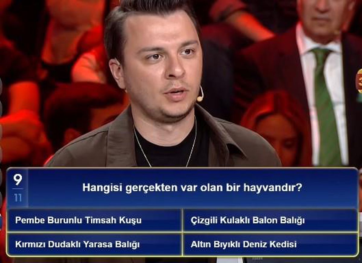 Çizgili kulaklı balon balığı gerçek mi, çizgili kulaklı balon balığı var mı?