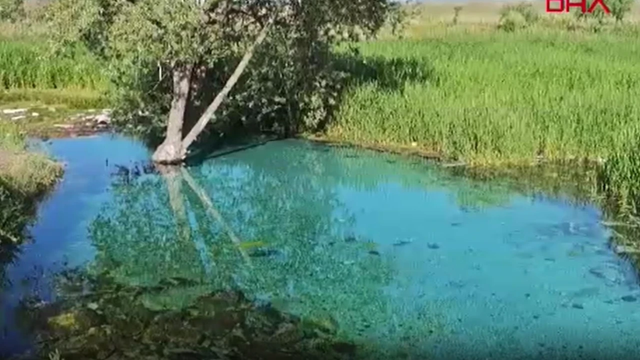 Arkadaşlarıyla serinlemek için girdiği gölet sonu oldu
