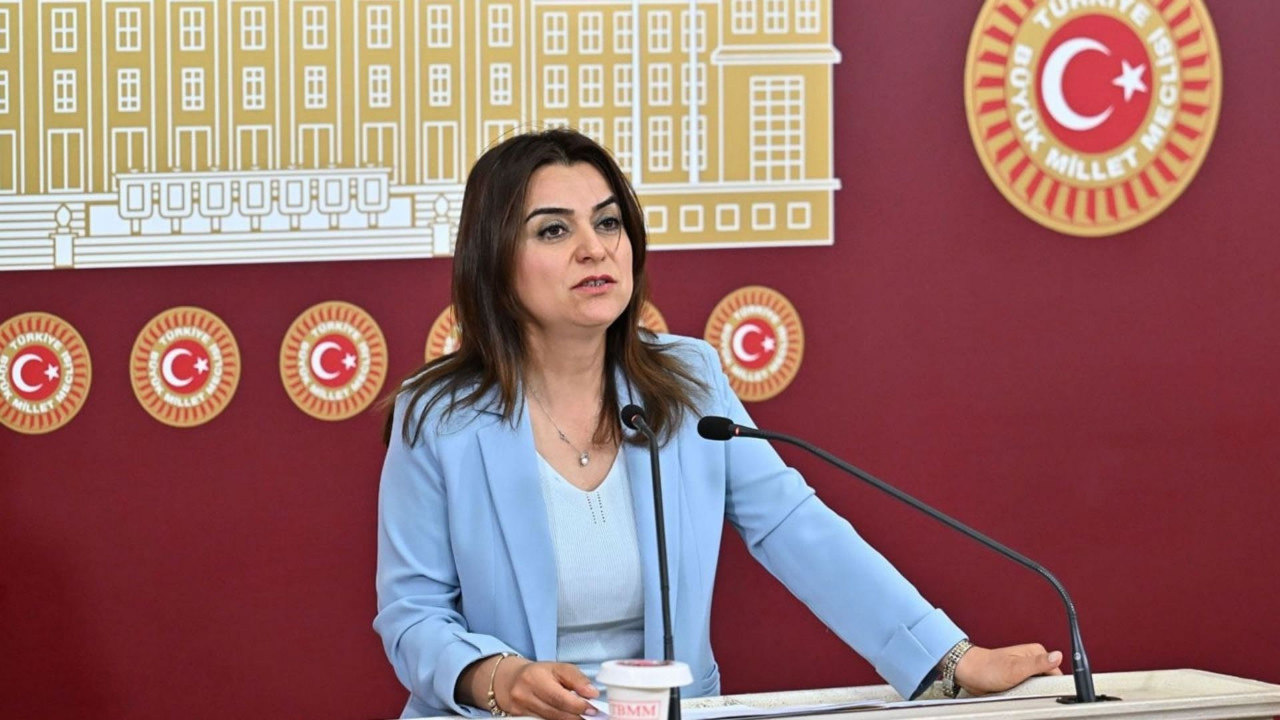 Gülistan Koçyiğit: ‘Meclis kapanmadan çıkacağına dair bilgiyi teyit edebilirim’