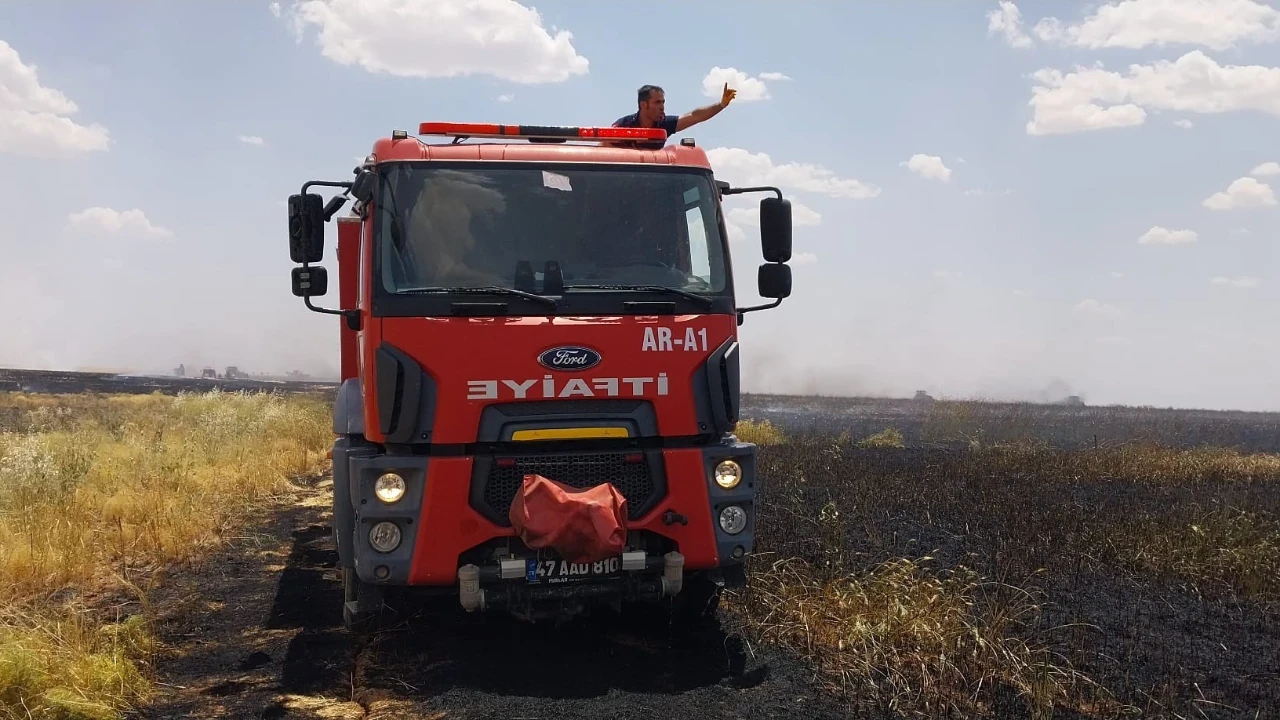 Yine yüzlerce dönüm buğday yandı