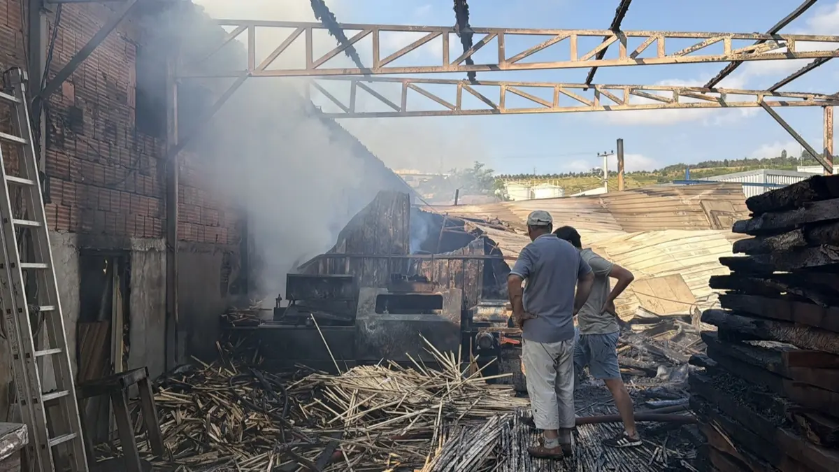 Kocaeli'de palet fabrikasında yangın