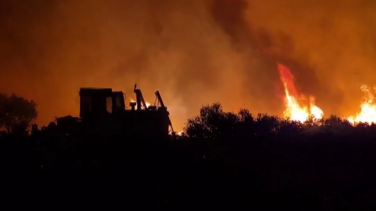 Milas'ta orman yangını: Yüzlerce kişi tahliye edildi