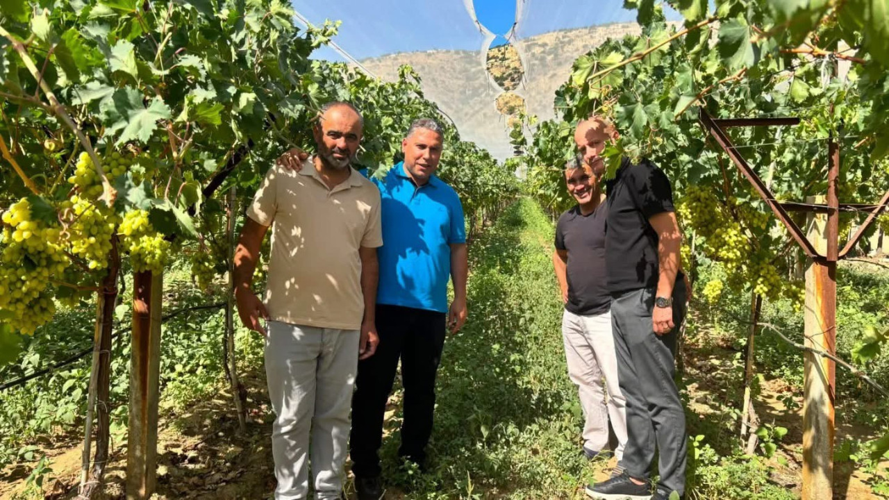 Manisa'da erkenci üzüm hasadı öncesi saha incelemesi yapıldı
