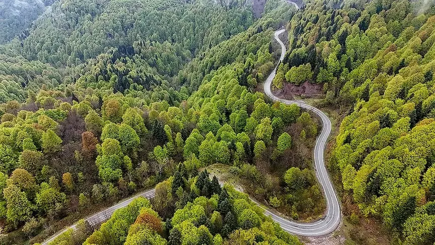 Tarım ve ormana yönelik düzenlemeleri içeren kanun Resmi Gazete'de