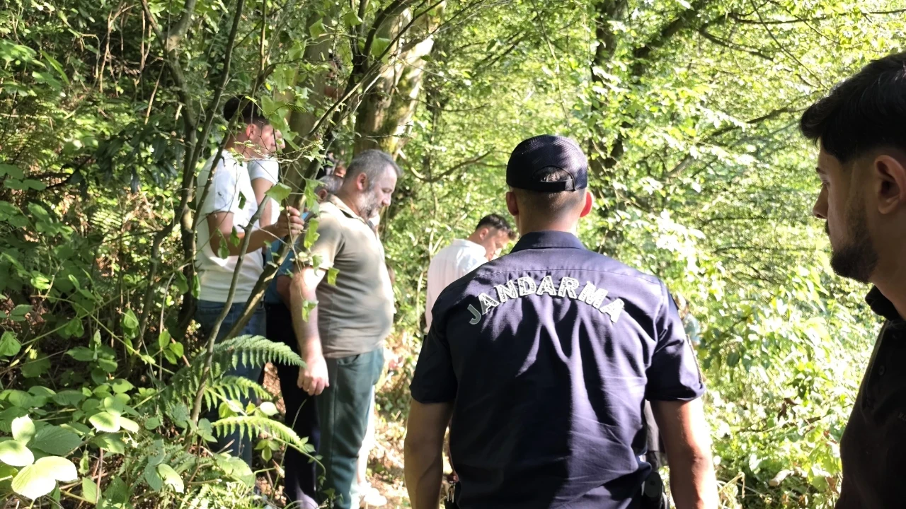 Ihlamur toplamaya gitti, ormanda ölü bulundu