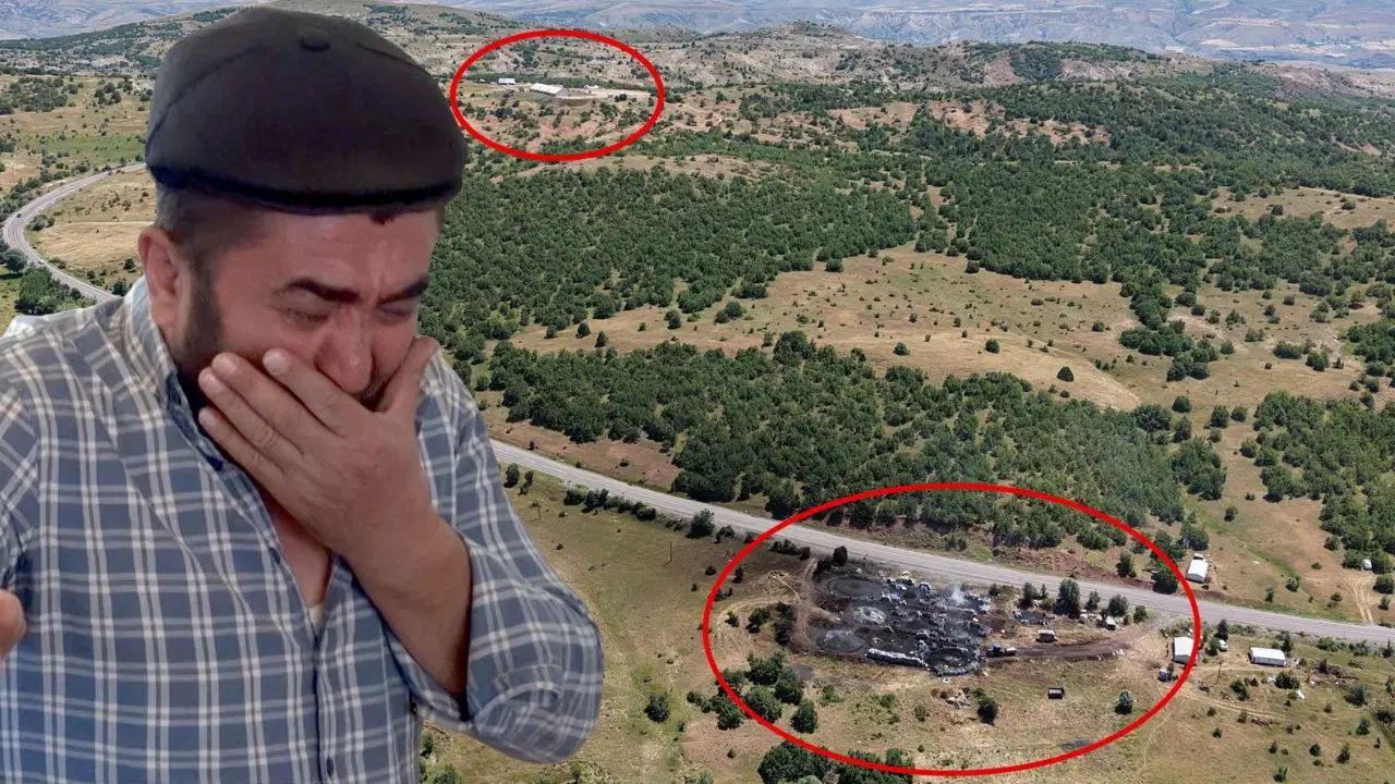 Sivas'ta duman faciası iddiası: 5 günde 9 buzağısı ölen besici gözyaşlarıyla yardım istedi