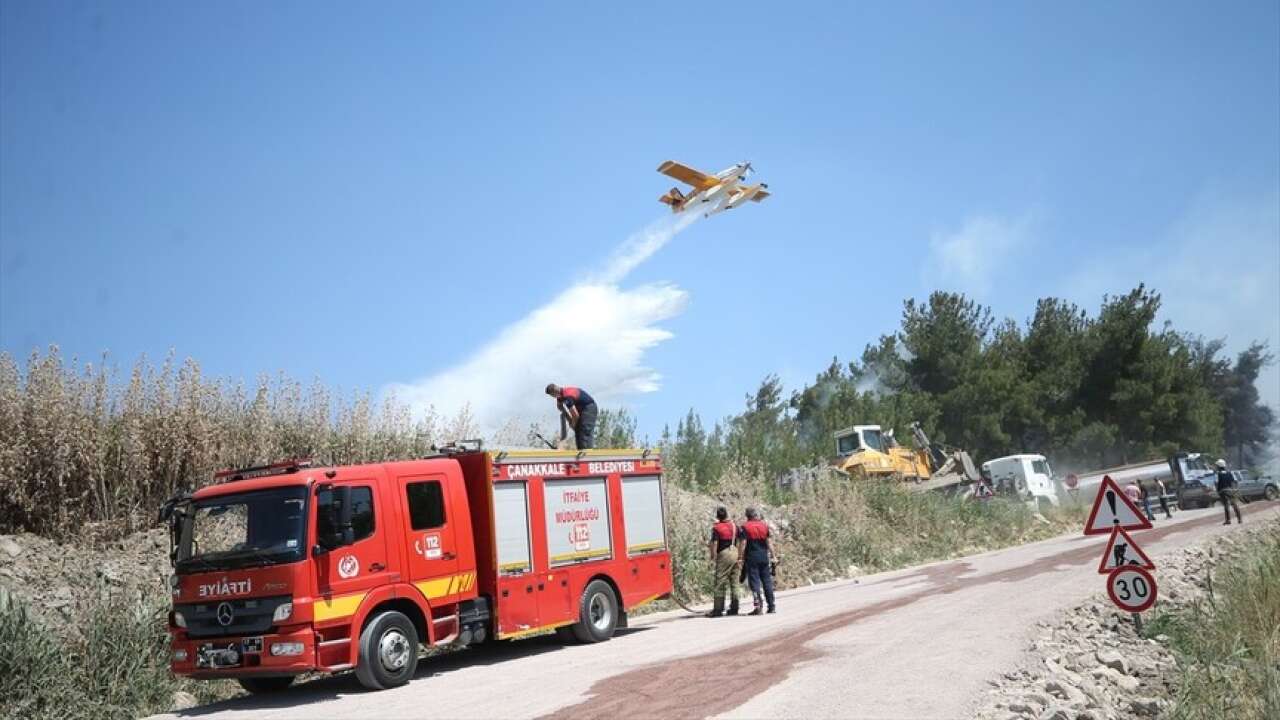 Çanakkale'de orman yangını! Alevlere havadan ve karadan yoğun müdahale