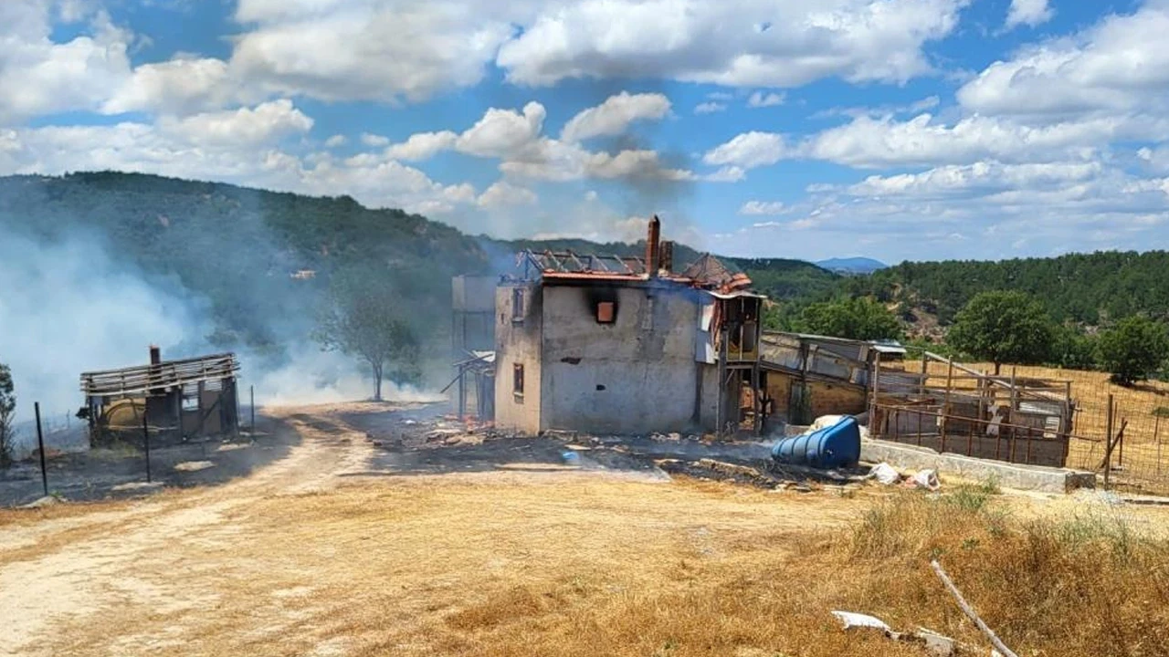 Evde başlayan yangın ormana sıçradı: 3 hektar karaçam ormanı zarar gördü