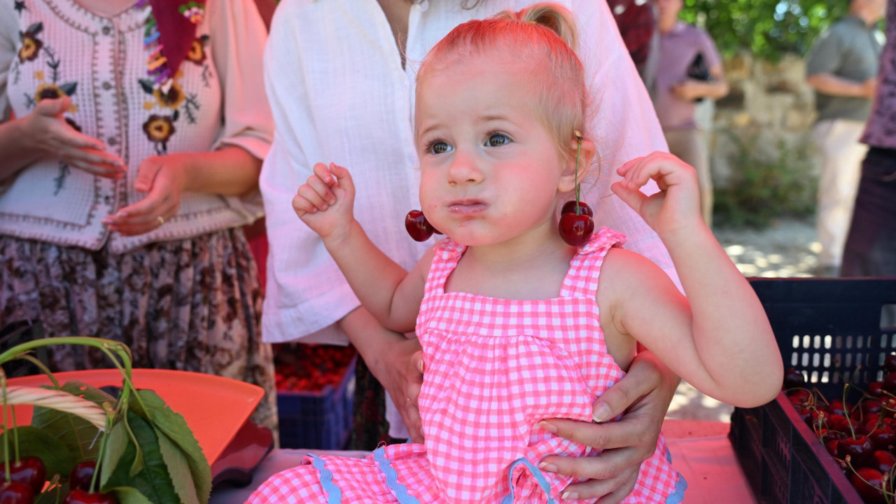 Edirne'de üretiliyor: Avrupa'ya ihraç ediliyor