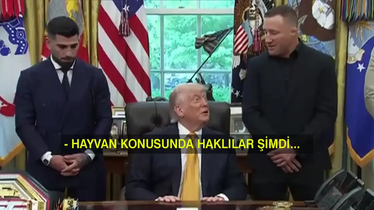 Trump 80 yaşında: Beyaz Saray ringe mi dönüşüyor?