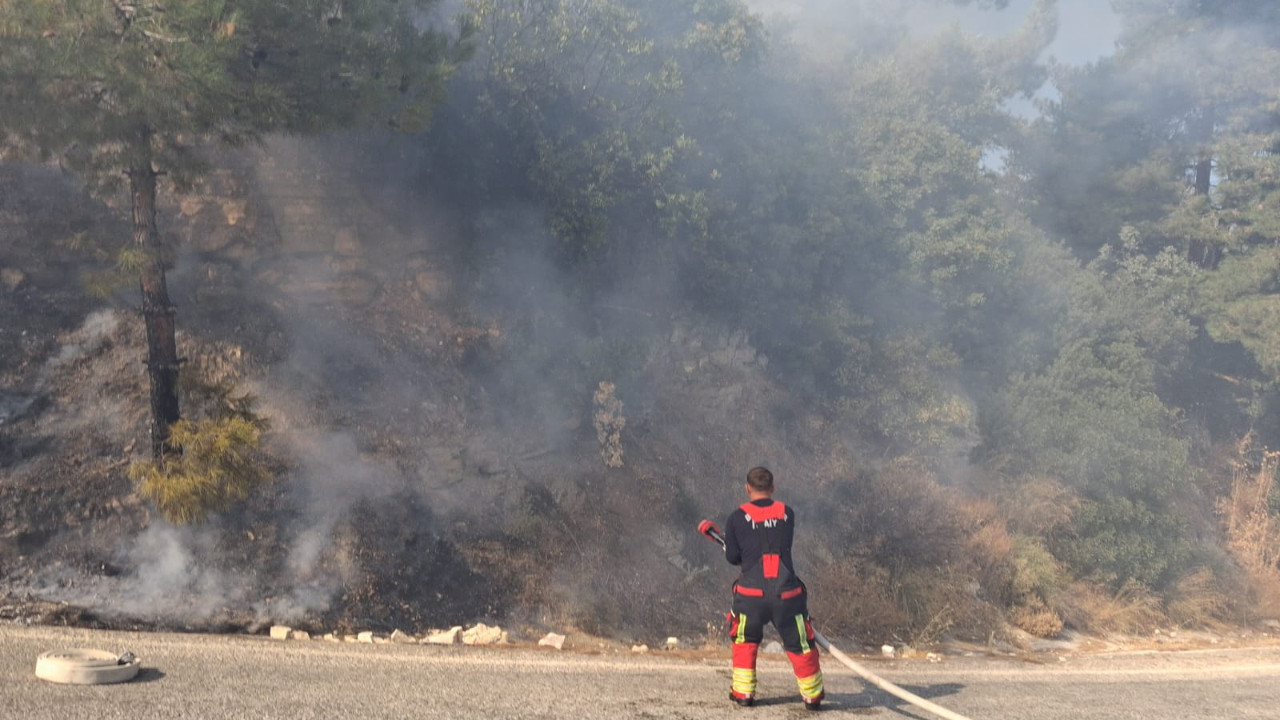 Balıkesir'de korkutan zeytinlik yangını kontrol altına alındı