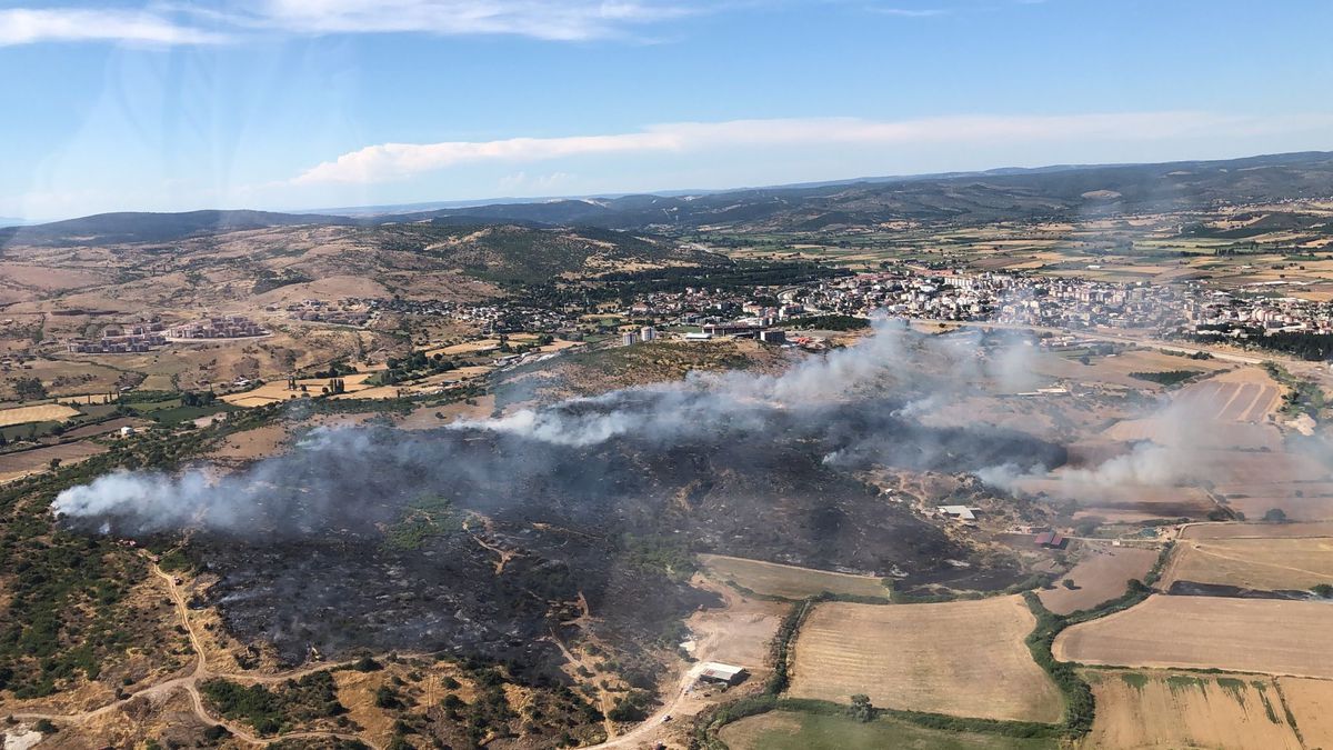 Çanakkale'de bozuk ormanda yangın
