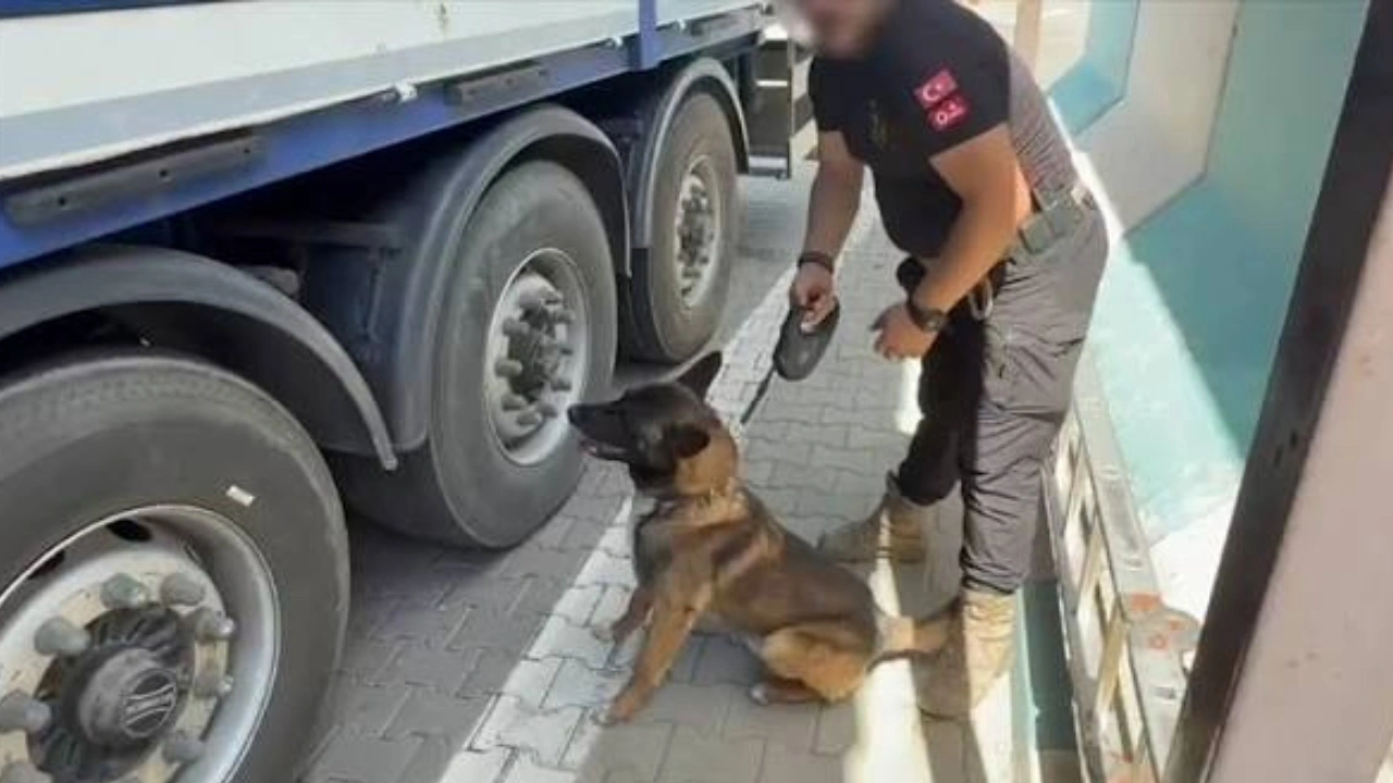 TIR'dan 170 kilo esrar çıktı! 1 kişi tutuklandı