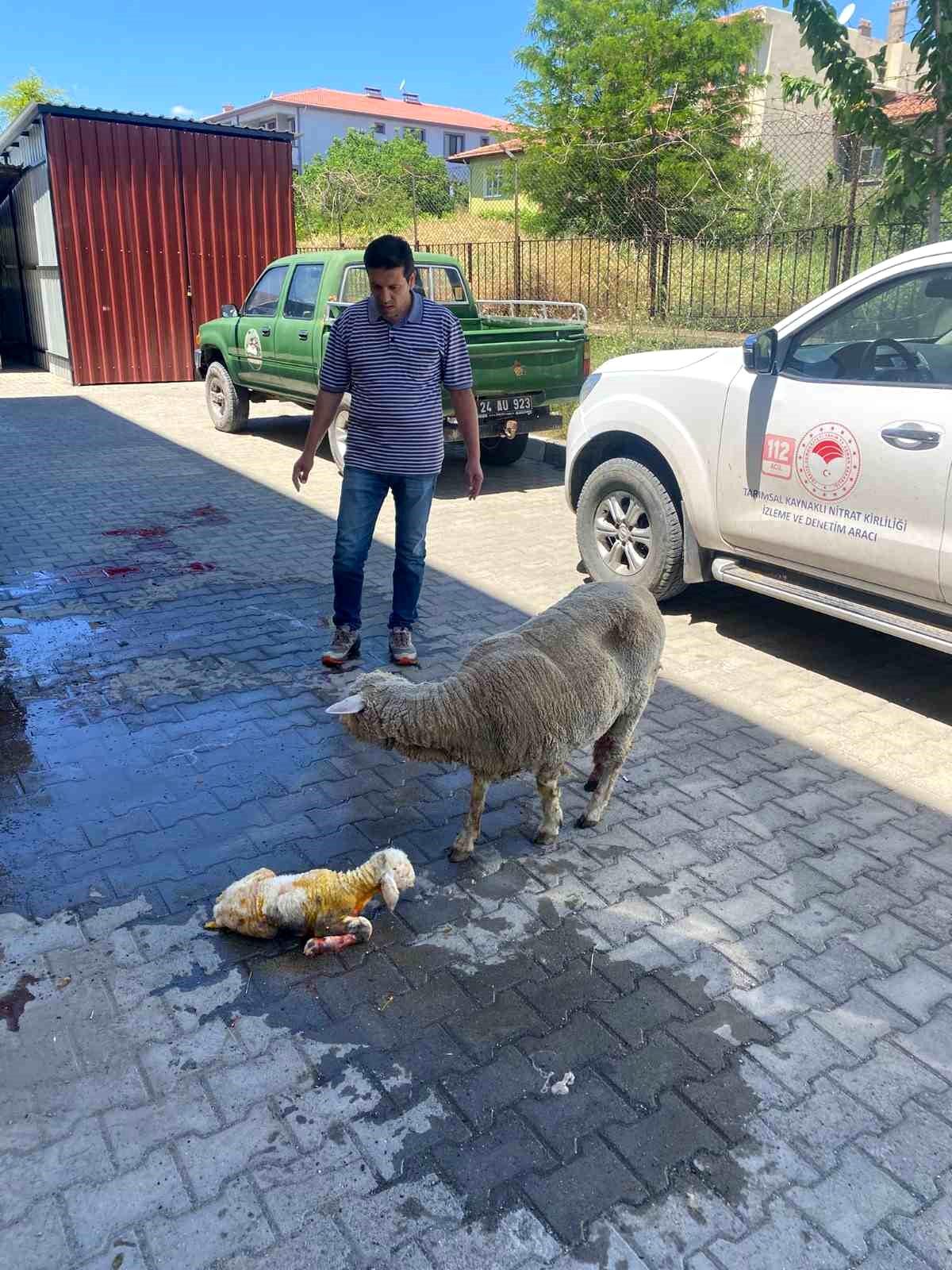 Erzincan'da zamanla yarış mutlu sonla bitti