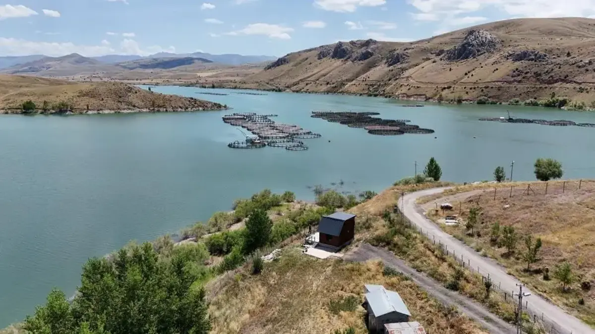 3 ilin ekonomisine büyük katkı! Erzincan'da yetişiyor, Trabzon ve Elazığ'da dönüşüm tamamlanıyor