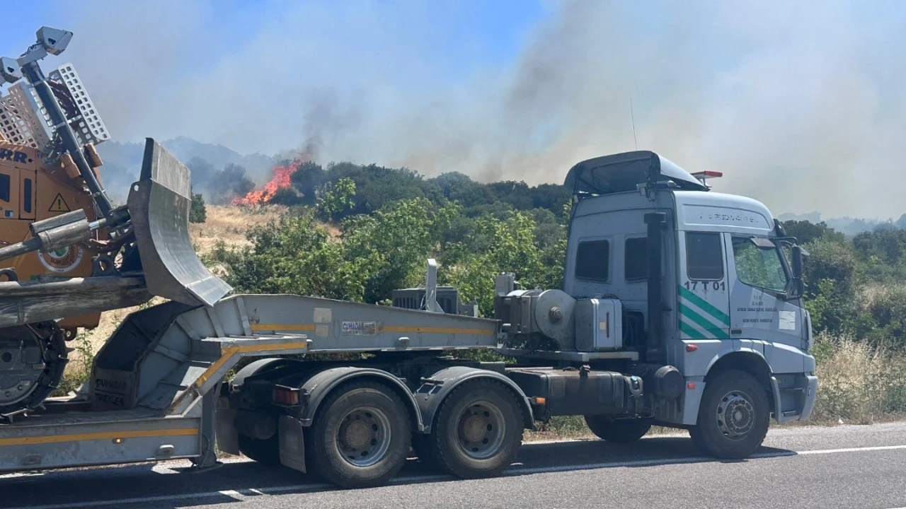 Çanakkale'de orman yangını