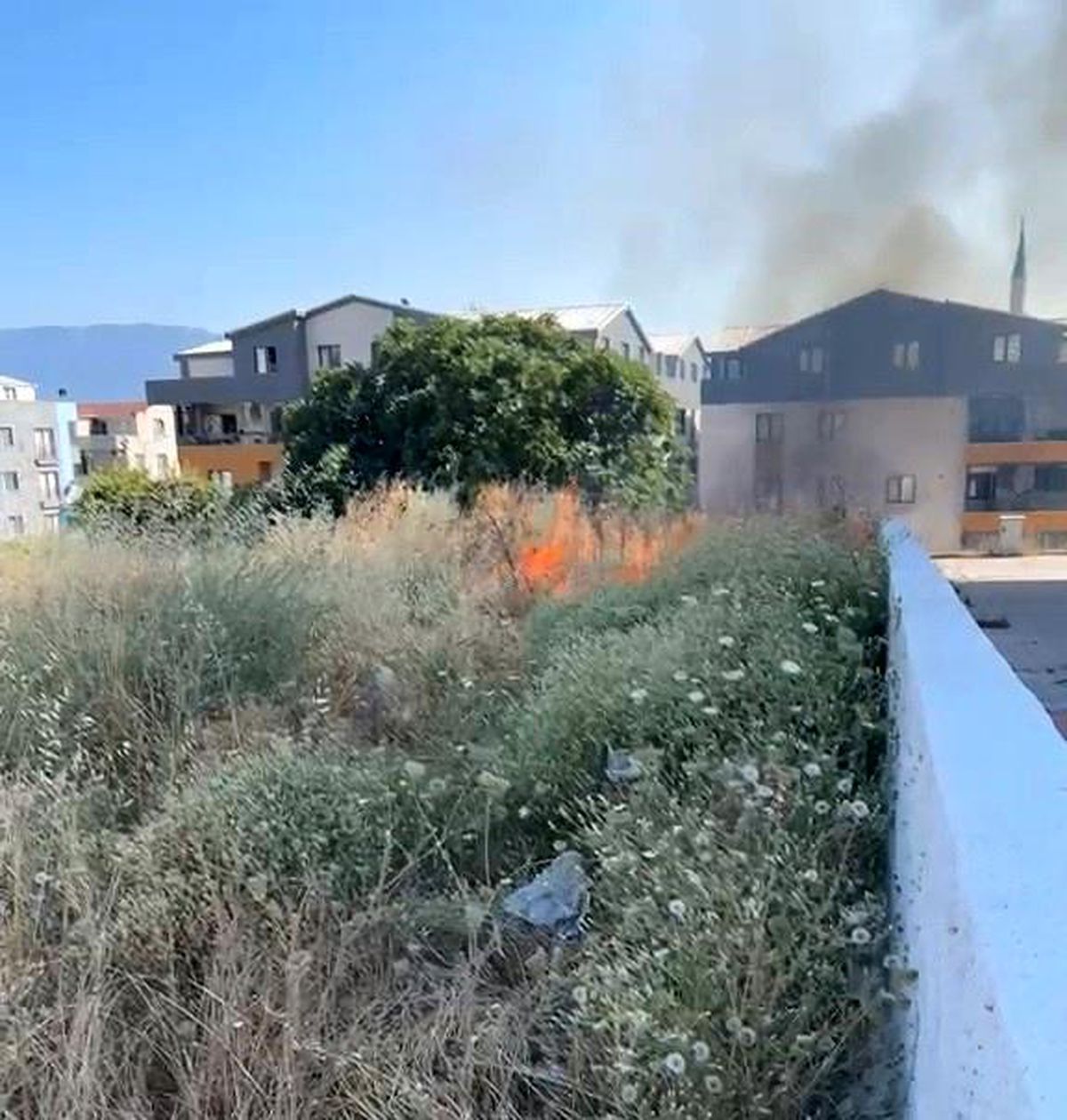 Bursa'da otluk alanda çıkan yangın söndürüldü