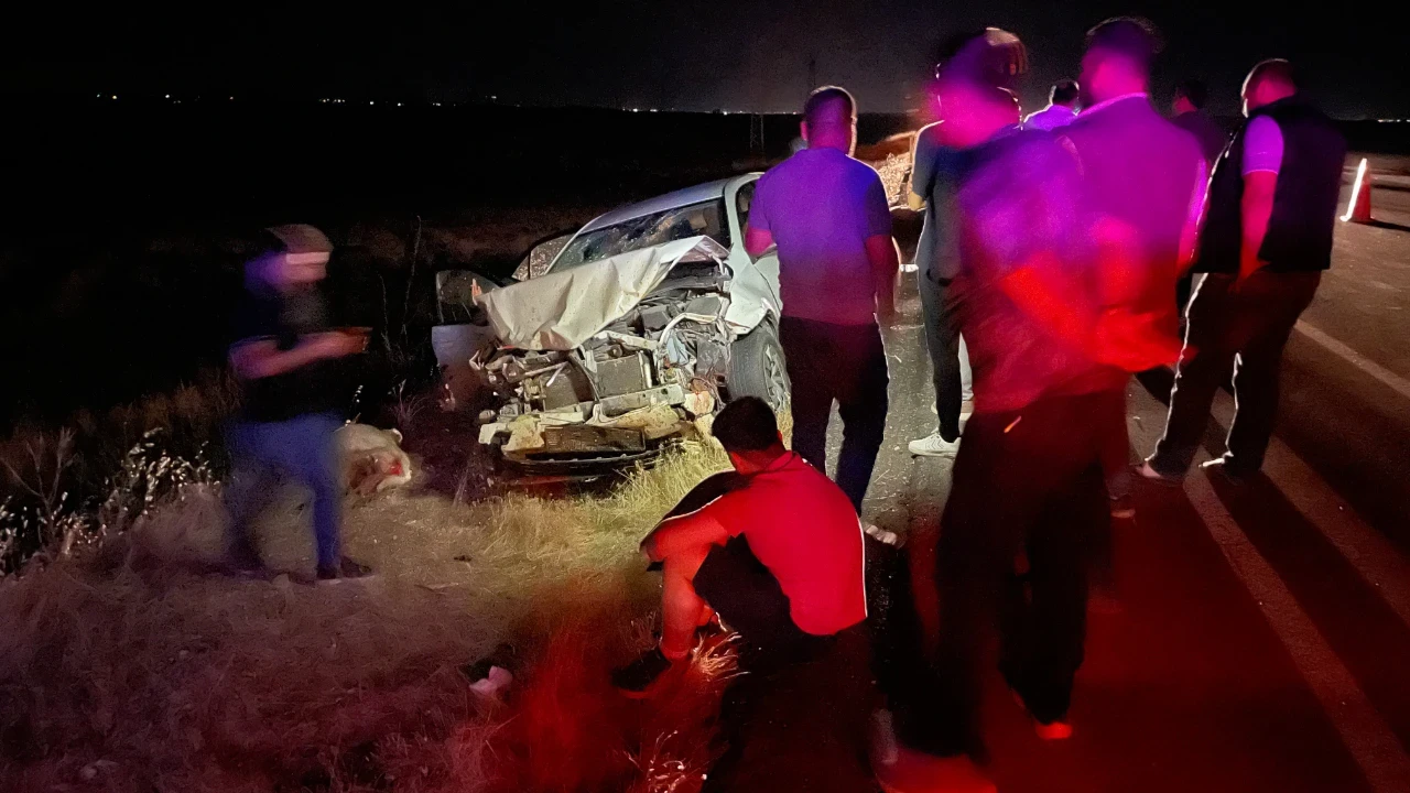 Otomobil koyun sürüsüne daldı: 3 kişi yaralandı, çok sayıda hayvan telef oldu