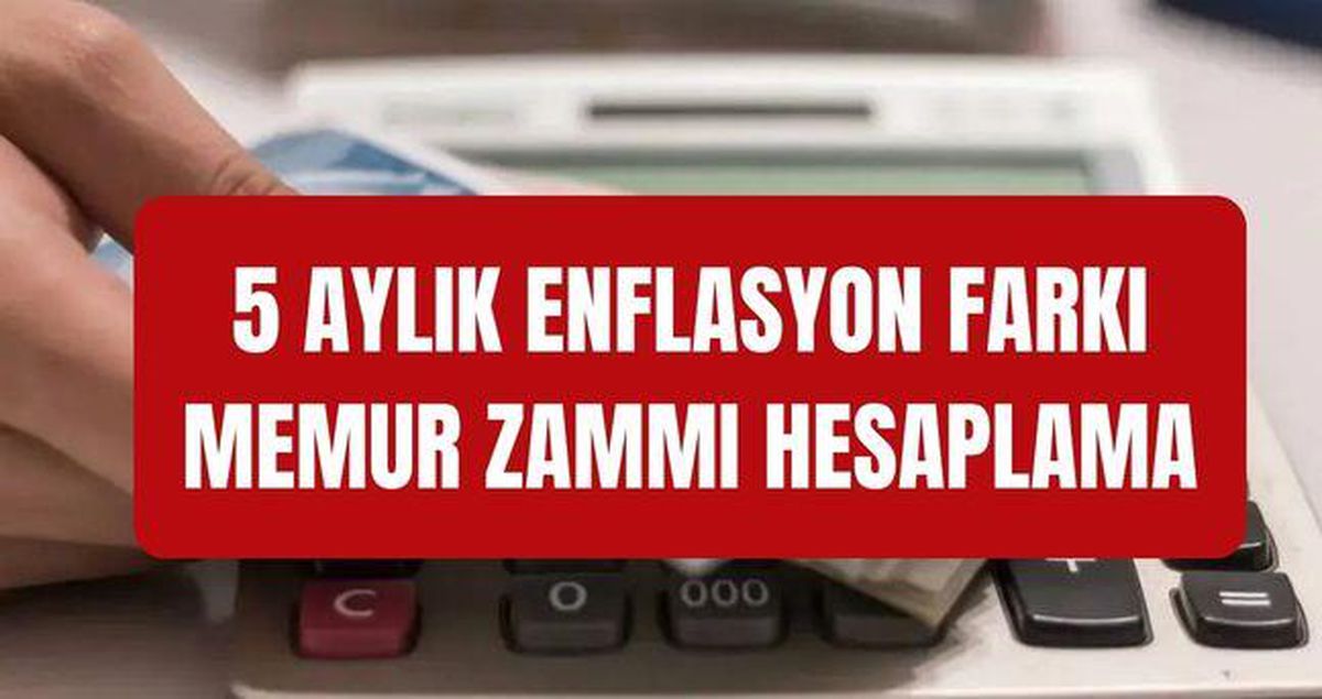 MEMUR ZAMMI HESAPLAMA: 5 aylık enflasyon farkı ile memur ve memur emeklisi maaşı zammı ne kadar olacak, en düşük memur m..