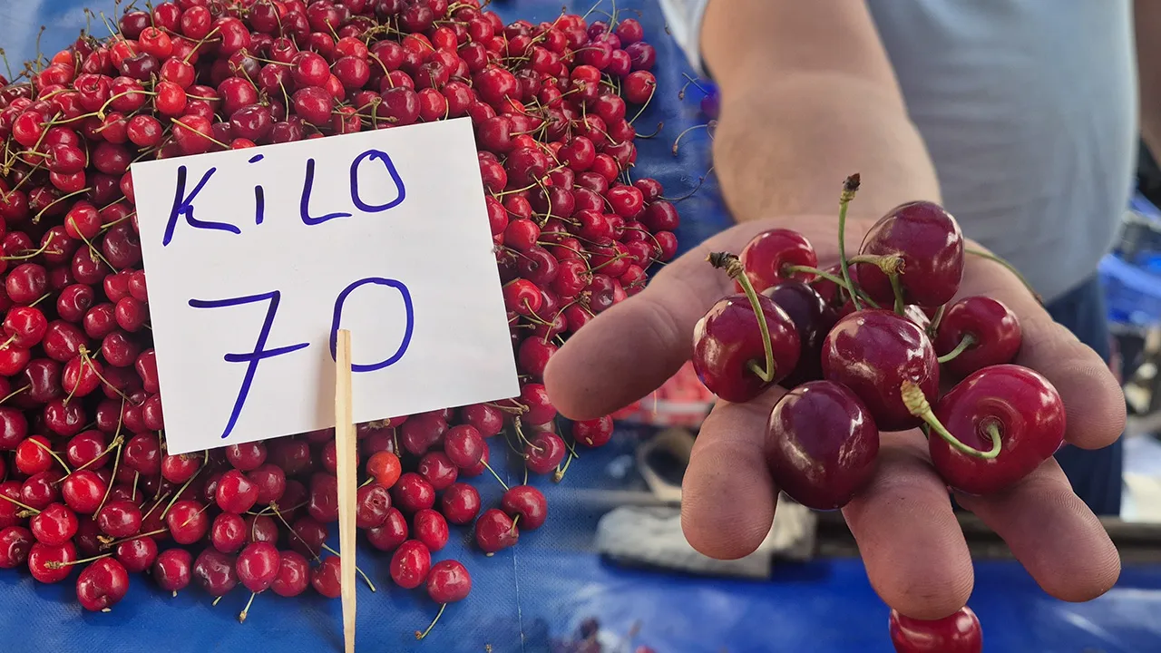 Festivalde 300 liraydı! Fiyatı düştü, vatandaş tezgahlara koştu