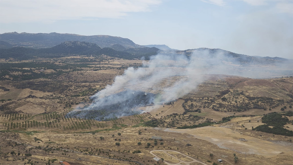 Çanakkale'de orman yangını!