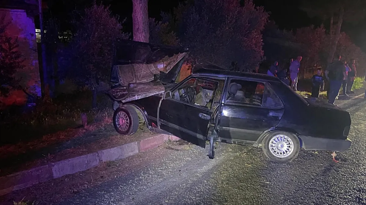 İzmir'de feci kaza! Köpeğe çarpmamak için ağaca çarpan gençten acı haber
