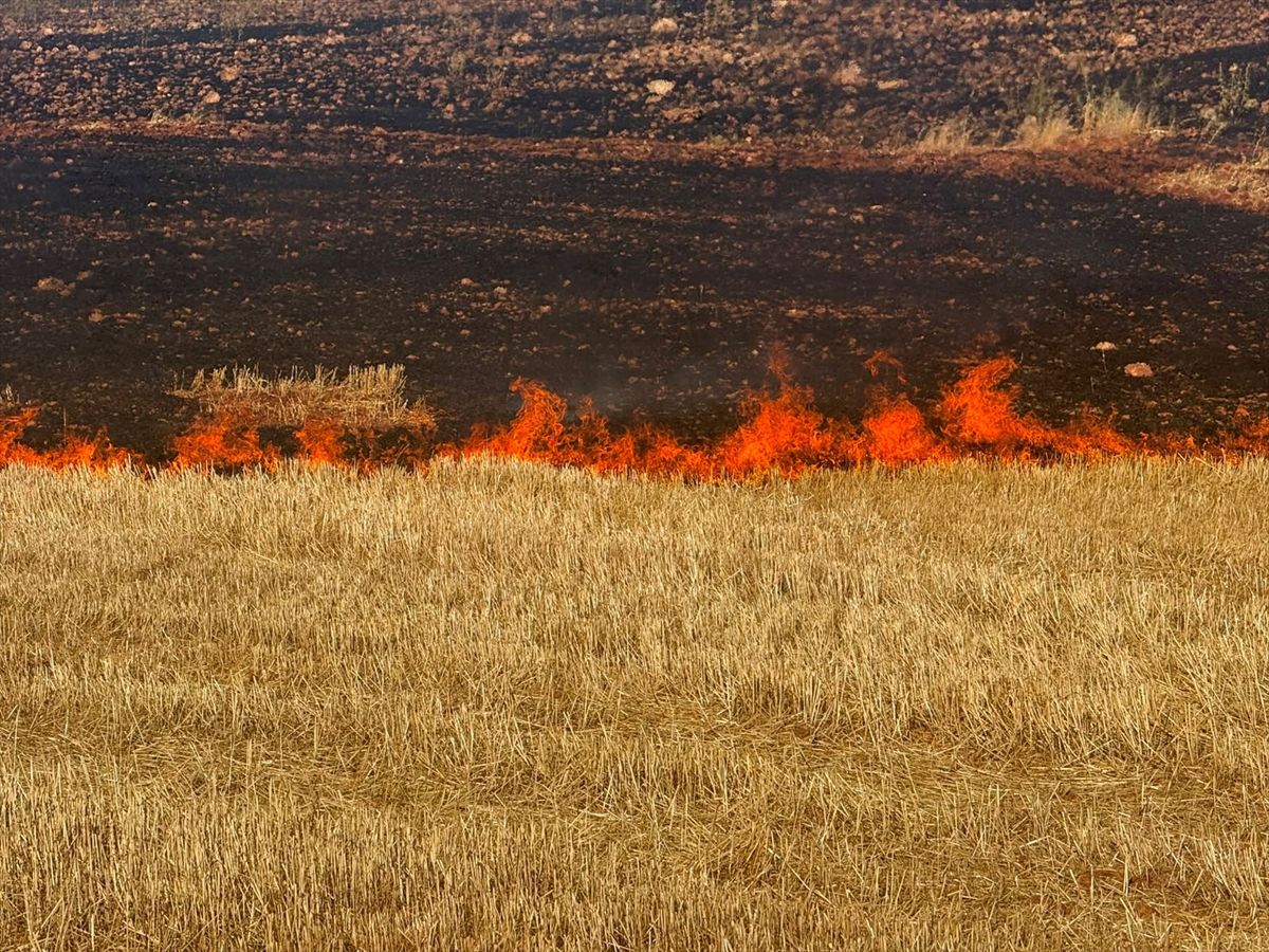 Diyarbakır'da çıkan örtü ve anız yangını söndürüldü