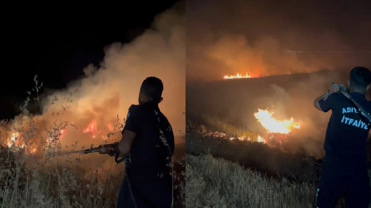 Adıyaman’da 45 dönümlük tarla alevlere teslim oldu