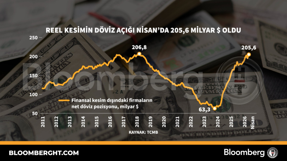 Reel kesimin döviz açığı Nisan'da 205,6 milyar dolar oldu