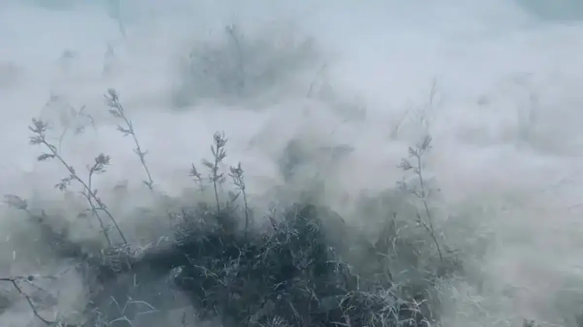 Sapanca Gölü zemininde şaşırtan keşif: Pamuksu oluşuma ilişkin inceleme başlatıldı