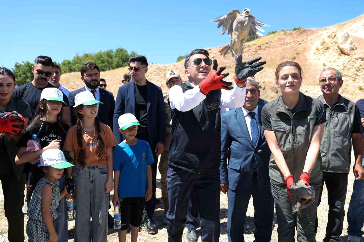Kenelere karşı mücadele sürüyor: Tunceli'de 500 kınalı keklik doğaya salındı