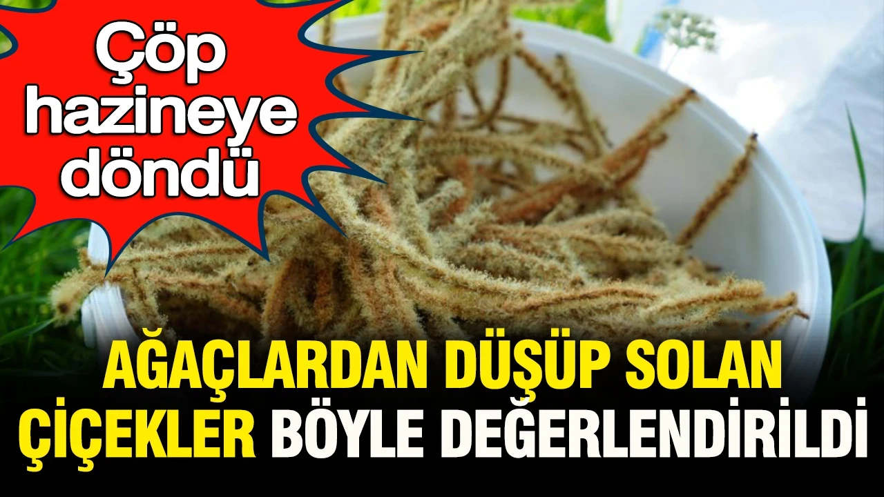 Çöp hazineye dönüştü: Ağaçtan düşüp solan çiçekler böyle değerlendirildi