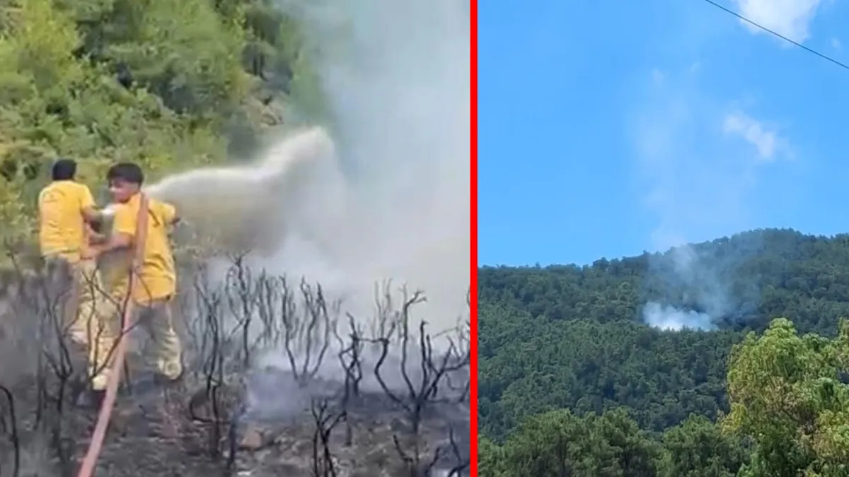 Muğla’da yıldırım kaynaklı 2 orman yangını: Müdahale sürüyor!