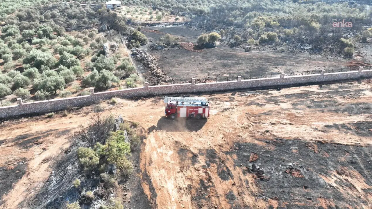 Antalya Kepez'deki orman yangını 4 saatte kontrol altına alındı