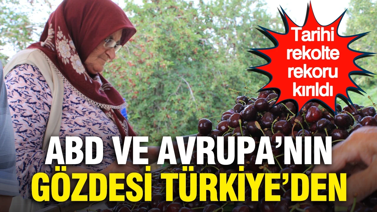 ABD ve Avrupa’nın gözdesi Türkiye’den: Tarihi rekolte rekoru kırıldı