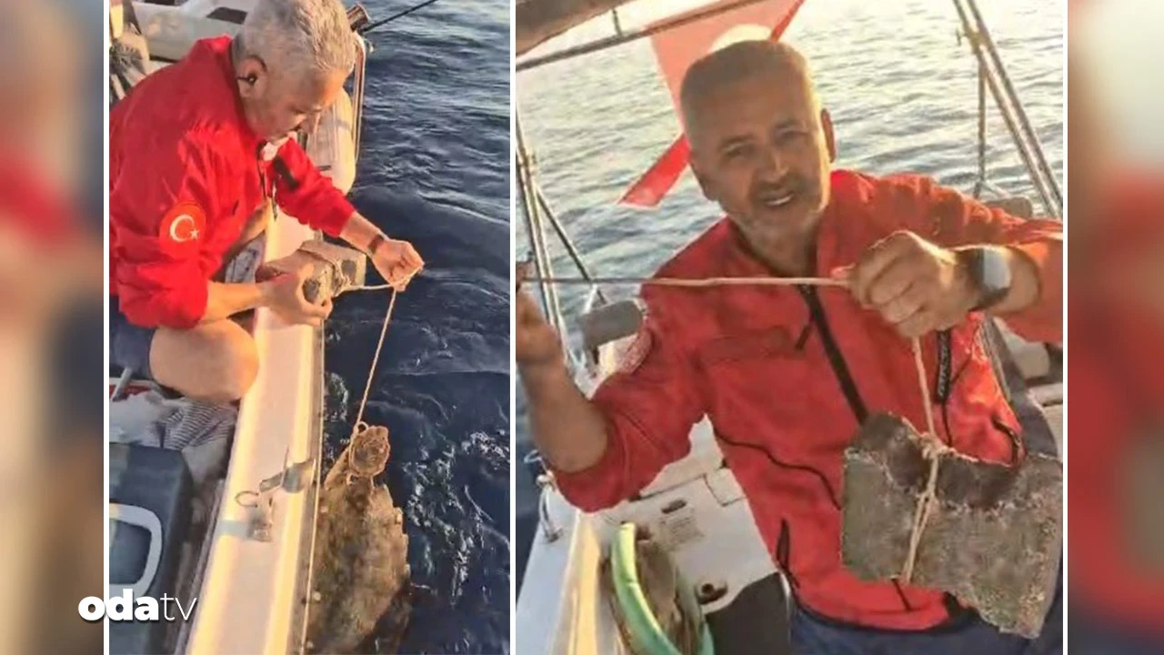 Vicdansızlığın böylesi: Bu kez caretta caretta