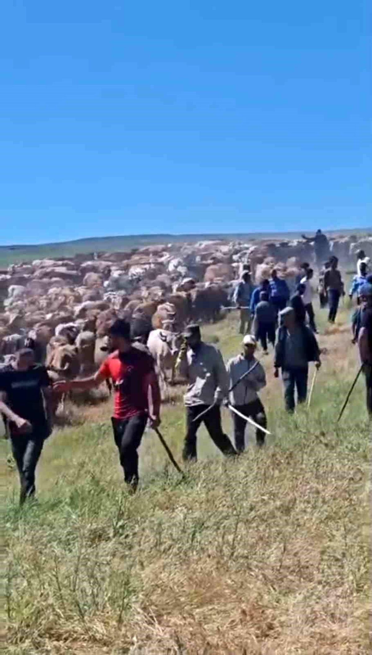 Muş'ta iki köy arasında 'arazi' kavgası: 2 yaralı