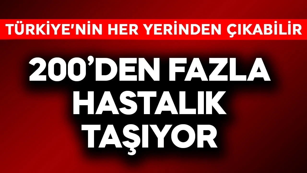Türkiye'nin her yerinden çıkabilir! 200'den fazla hastalık taşıyor