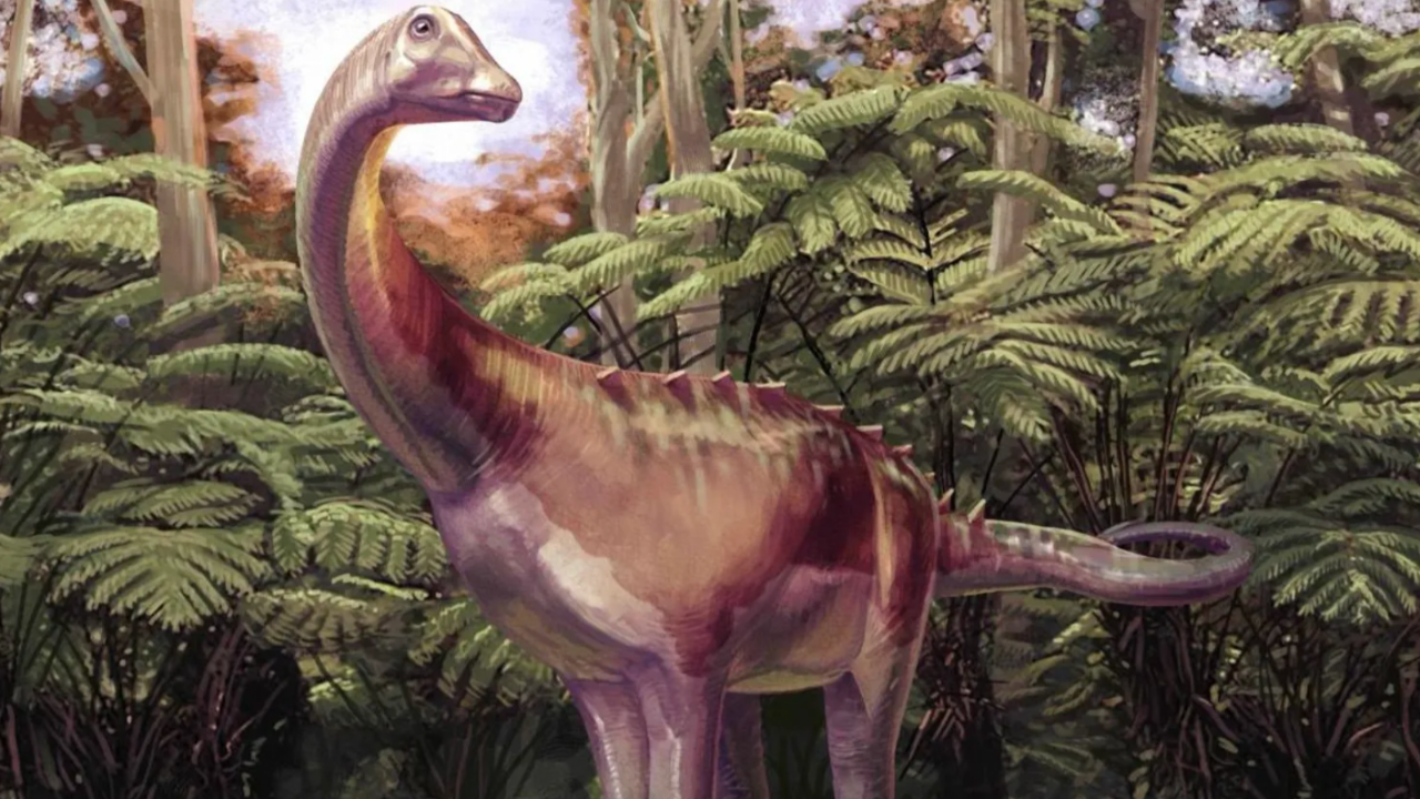 Antarktika'da bulunan ilk dinozor fosili 40 yıl sonra çekmeceden çıktı