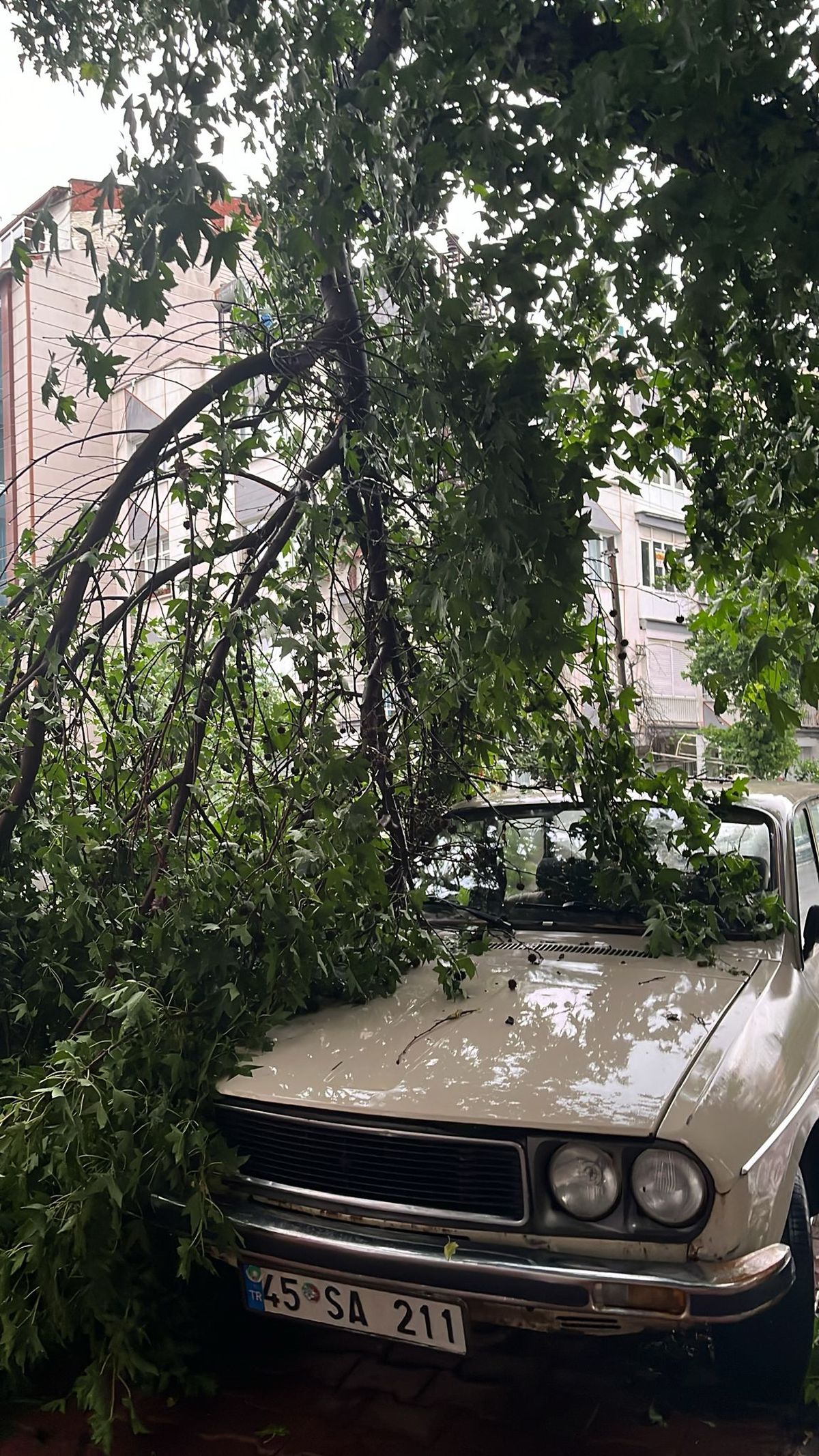 Manisa'da Sağanak Yağış Sele Neden Oldu
