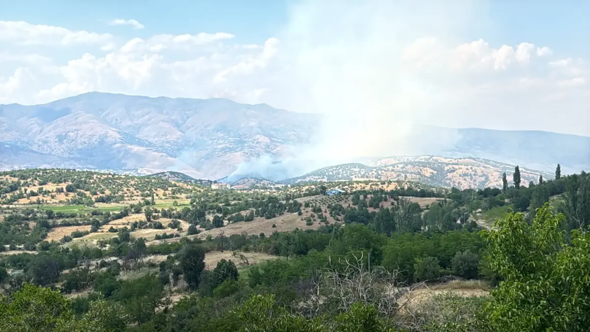 Malatya'da orman yangını!