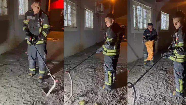 Osmaniye'de zehirli engerek paniği! Eve girmeye çalışan yılan son anda yakalandı