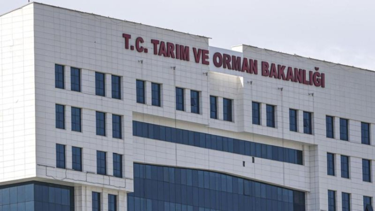 İş arayanlar dikkat! Tarım ve Orman Bakanlığı 1874 personel alacak