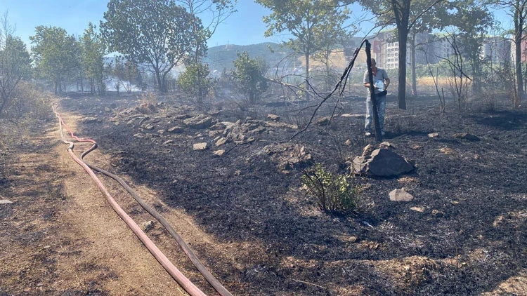 TIR'ın römorkunda çıkan yangın mahalleyi karıştırdı: 50 ev tahliye edildi