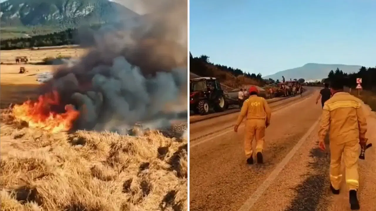 Bilecik'teki orman yangınında biçerdöver operatörüne soruşturma