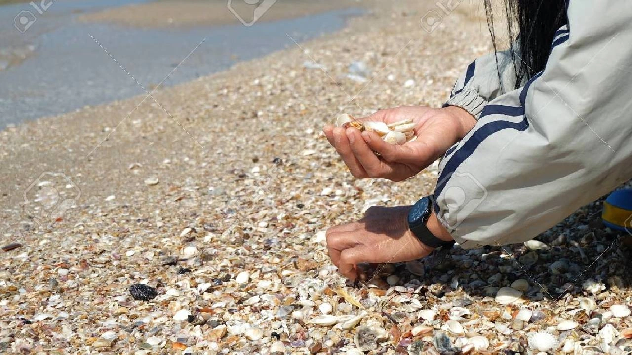 Sahilden servet çıkartmaya çalışırken sonu karakolda bitti!