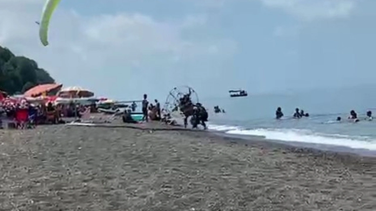 Güneşlenirken neye uğradıklarını şaşırdılar! Tatilcilerin arasına böyle daldı